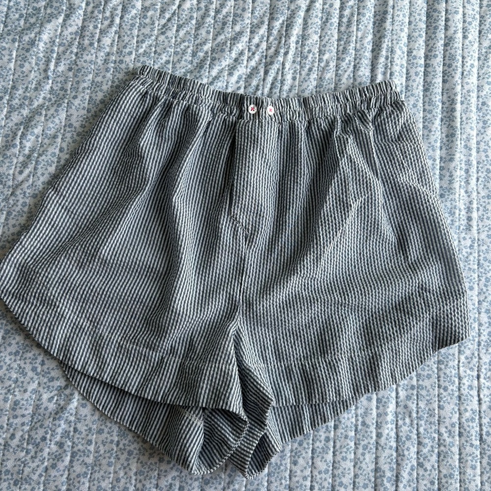 Free People Blue and White Striped Shorts